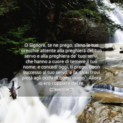 Picture 05 - Neemia 1:11 RIV - O Signore, te ne prego, siano le tue orecchie - Bible Verse Picture