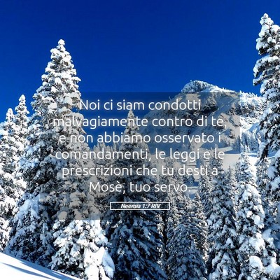 Picture 05 - Neemia 1:7 RIV - Noi ci siam condotti malvagiamente contro di te, - Bible Verse Picture