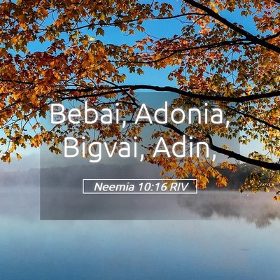 Picture 05 - Neemia 10:16 RIV - Bebai, Adonia, Bigvai, - Bible Verse Picture