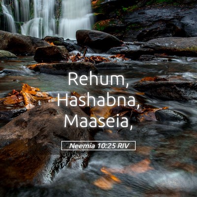 Picture 05 - Neemia 10:25 RIV - Rehum, Hashabna, - Bible Verse Picture