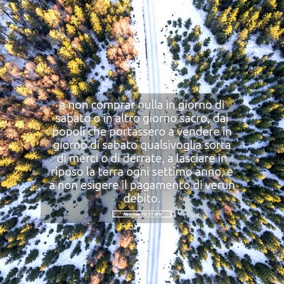 Picture 05 - Neemia 10:31 RIV - a non comprar nulla in giorno di sabato o in - Bible Verse Picture