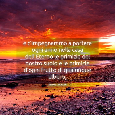 Picture 05 - Neemia 10:35 RIV - e c’impegnammo a portare ogni anno nella casa - Bible Verse Picture