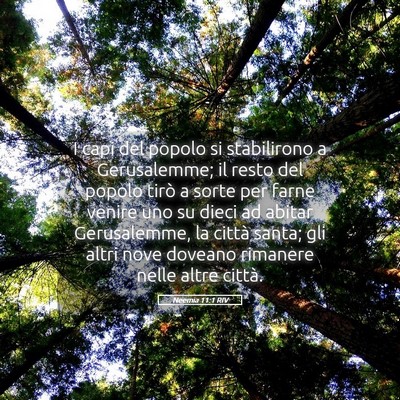Picture 05 - Neemia 11:1 RIV - I capi del popolo si stabilirono a Gerusalemme; - Bible Verse Picture