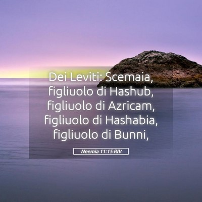 Picture 05 - Neemia 11:15 RIV - Dei Leviti: Scemaia, figliuolo di Hashub, - Bible Verse Picture