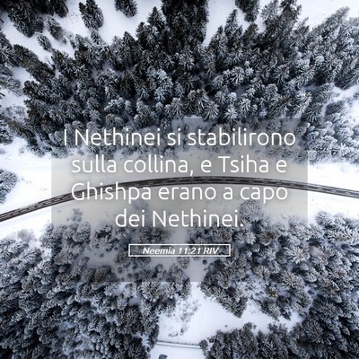 Picture 05 - Neemia 11:21 RIV - I Nethinei si stabilirono sulla collina, e Tsiha - Bible Verse Picture