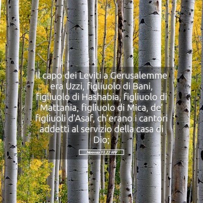 Picture 05 - Neemia 11:22 RIV - Il capo dei Leviti a Gerusalemme era Uzzi, - Bible Verse Picture