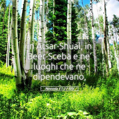 Picture 05 - Neemia 11:27 RIV - in Atsar-Shual, in Beer-Sceba e ne’ luoghi che - Bible Verse Picture