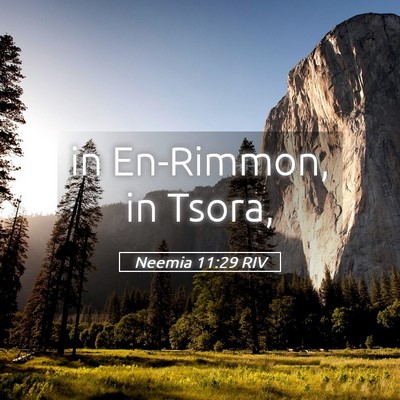 Picture 05 - Neemia 11:29 RIV - in En-Rimmon, in - Bible Verse Picture