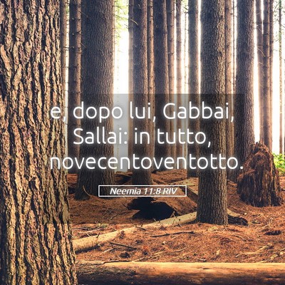 Picture 05 - Neemia 11:8 RIV - e, dopo lui, Gabbai, Sallai: in tutto, - Bible Verse Picture