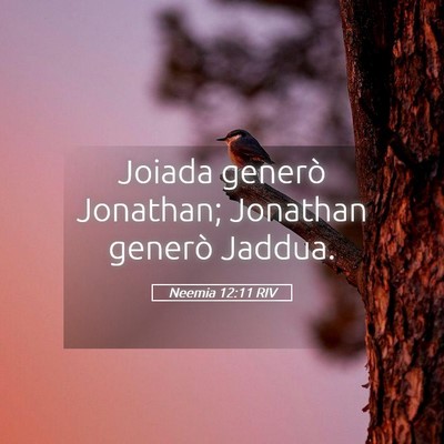 Picture 05 - Neemia 12:11 RIV - Joiada generò Jonathan; Jonathan generò - Bible Verse Picture