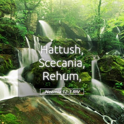 Picture 05 - Neemia 12:3 RIV - Hattush, Scecania, - Bible Verse Picture