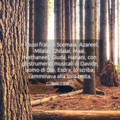 Picture 05 - Neemia 12:36 RIV - e i suoi fratelli Scemaia, Azareel, Milalai, - Bible Verse Picture