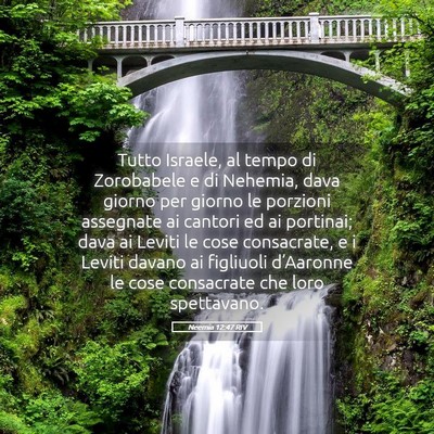 Picture 05 - Neemia 12:47 RIV - Tutto Israele, al tempo di Zorobabele e di - Bible Verse Picture