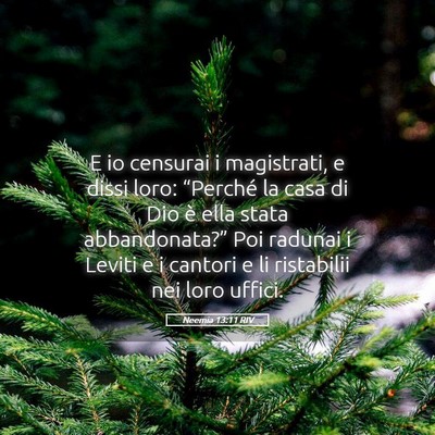 Picture 05 - Neemia 13:11 RIV - E io censurai i magistrati, e dissi loro: - Bible Verse Picture