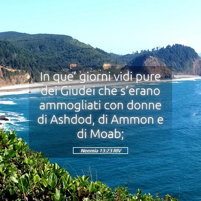 Picture 05 - Neemia 13:23 RIV - In que’ giorni vidi pure dei Giudei che - Bible Verse Picture