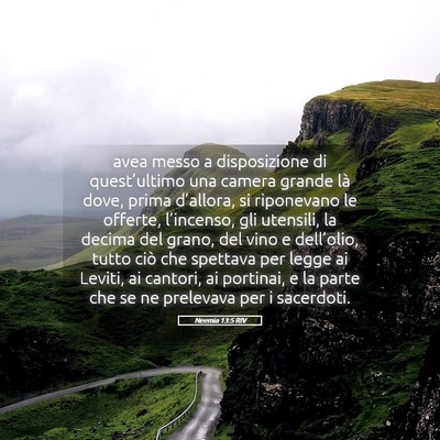 Picture 05 - Neemia 13:5 RIV - avea messo a disposizione di quest’ultimo una - Bible Verse Picture
