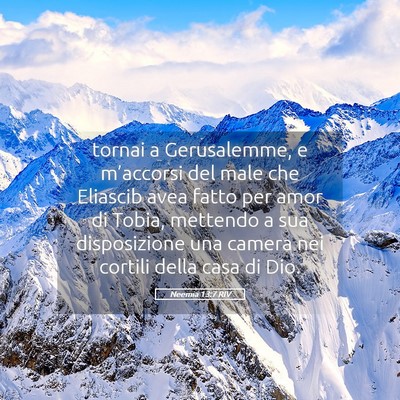 Picture 05 - Neemia 13:7 RIV - tornai a Gerusalemme, e m’accorsi del male che - Bible Verse Picture