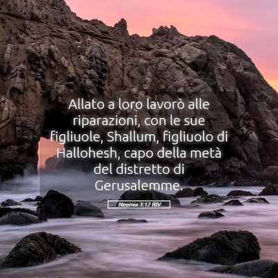 Picture 05 - Neemia 3:12 RIV - Allato a loro lavorò alle riparazioni, con le - Bible Verse Picture