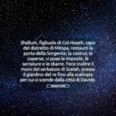 Picture 05 - Neemia 3:15 RIV - Shallum, figliuolo di Col-Hozeh, capo del - Bible Verse Picture