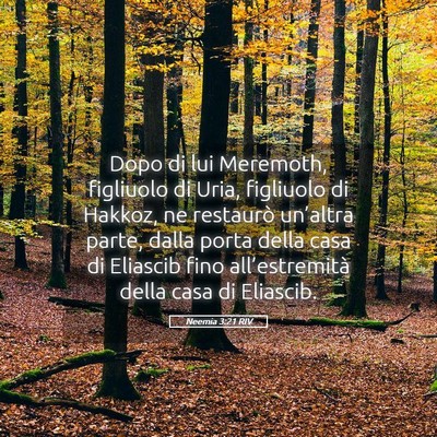 Picture 05 - Neemia 3:21 RIV - Dopo di lui Meremoth, figliuolo di Uria, - Bible Verse Picture