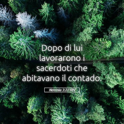 Picture 05 - Neemia 3:22 RIV - Dopo di lui lavorarono i sacerdoti che abitavano - Bible Verse Picture
