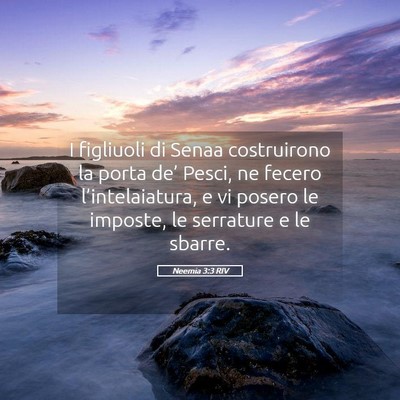 Picture 05 - Neemia 3:3 RIV - I figliuoli di Senaa costruirono la porta de’ - Bible Verse Picture