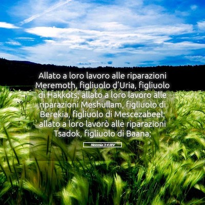 Picture 05 - Neemia 3:4 RIV - Allato a loro lavoro alle riparazioni Meremoth, - Bible Verse Picture