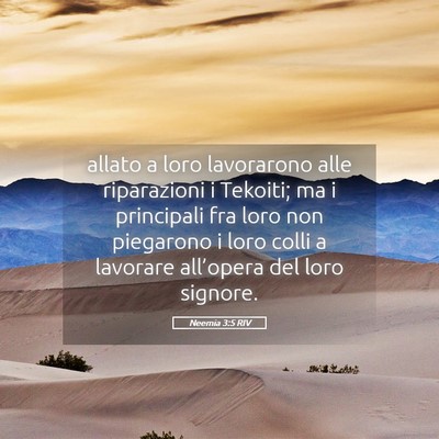 Picture 05 - Neemia 3:5 RIV - allato a loro lavorarono alle riparazioni i - Bible Verse Picture