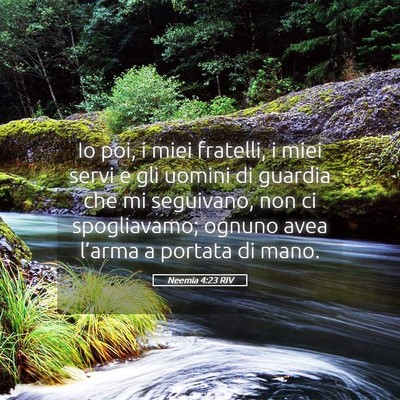 Picture 05 - Neemia 4:23 RIV - Io poi, i miei fratelli, i miei servi e gli - Bible Verse Picture