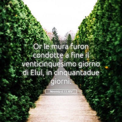Picture 05 - Neemia 6:15 RIV - Or le mura furon condotte a fine il - Bible Verse Picture