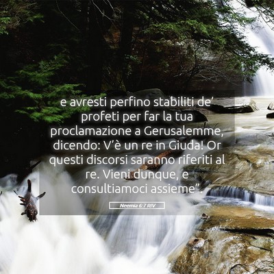 Picture 05 - Neemia 6:7 RIV - e avresti perfino stabiliti de’ profeti per far - Bible Verse Picture