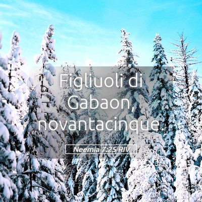 Picture 05 - Neemia 7:25 RIV - Figliuoli di Gabaon, - Bible Verse Picture