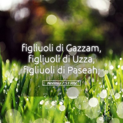 Picture 05 - Neemia 7:51 RIV - figliuoli di Gazzam, figliuoli di Uzza, figliuoli - Bible Verse Picture