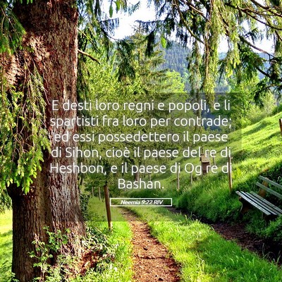 Picture 05 - Neemia 9:22 RIV - E desti loro regni e popoli, e li spartisti fra - Bible Verse Picture
