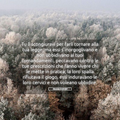 Picture 05 - Neemia 9:29 RIV - Tu li scongiuravi per farli tornare alla tua - Bible Verse Picture