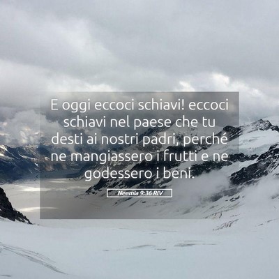 Picture 05 - Neemia 9:36 RIV - E oggi eccoci schiavi! eccoci schiavi nel paese - Bible Verse Picture