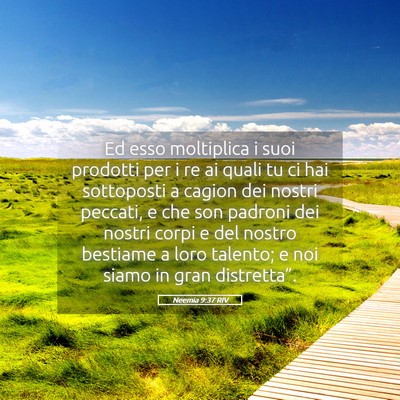 Picture 05 - Neemia 9:37 RIV - Ed esso moltiplica i suoi prodotti per i re ai - Bible Verse Picture