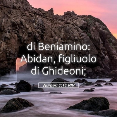 Picture 05 - Numeri 1:11 RIV - di Beniamino: Abidan, figliuolo di - Bible Verse Picture
