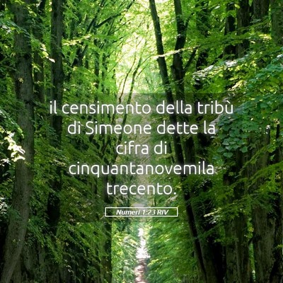 Picture 05 - Numeri 1:23 RIV - il censimento della tribù di Simeone dette la - Bible Verse Picture