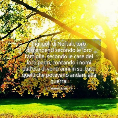 Picture 05 - Numeri 1:42 RIV - Figliuoli di Neftali, loro discendenti secondo le - Bible Verse Picture