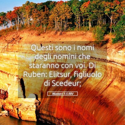 Picture 05 - Numeri 1:5 RIV - Questi sono i nomi degli nomini che staranno con - Bible Verse Picture