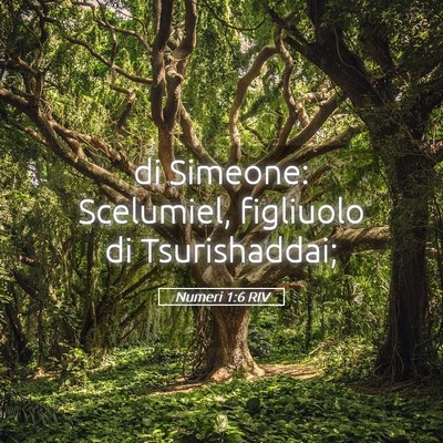 Picture 05 - Numeri 1:6 RIV - di Simeone: Scelumiel, figliuolo di - Bible Verse Picture