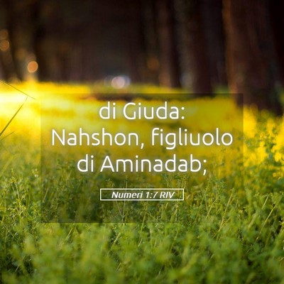 Picture 05 - Numeri 1:7 RIV - di Giuda: Nahshon, figliuolo di - Bible Verse Picture