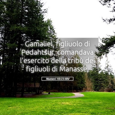 Picture 05 - Numeri 10:23 RIV - Gamaliel, figliuolo di Pedahtsur, comandava - Bible Verse Picture