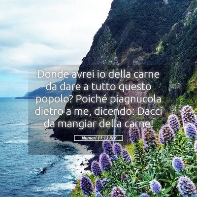 Picture 05 - Numeri 11:13 RIV - Donde avrei io della carne da dare a tutto questo - Bible Verse Picture
