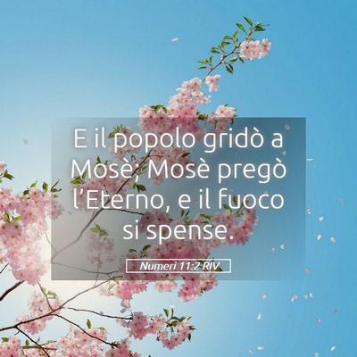 Picture 05 - Numeri 11:2 RIV - E il popolo gridò a Mosè; Mosè pregò - Bible Verse Picture