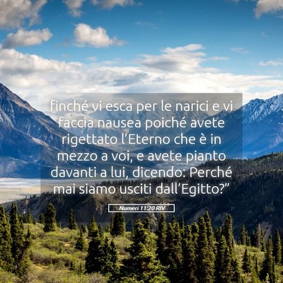 Picture 05 - Numeri 11:20 RIV - finché vi esca per le narici e vi faccia nausea - Bible Verse Picture