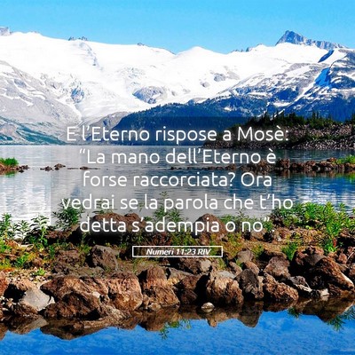 Picture 05 - Numeri 11:23 RIV - E l’Eterno rispose a Mosè: “La mano - Bible Verse Picture