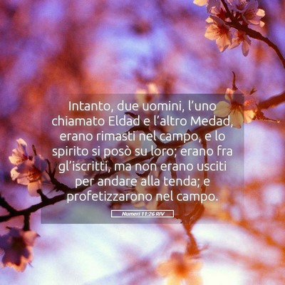 Picture 05 - Numeri 11:26 RIV - Intanto, due uomini, l’uno chiamato Eldad e - Bible Verse Picture