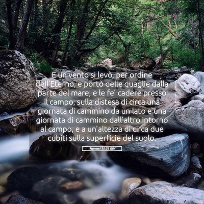Picture 05 - Numeri 11:31 RIV - E un vento si levò, per ordine dell’Eterno, e - Bible Verse Picture